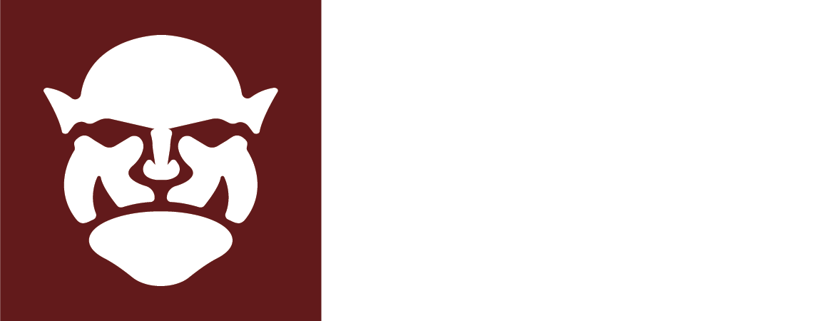 Ship OGRE